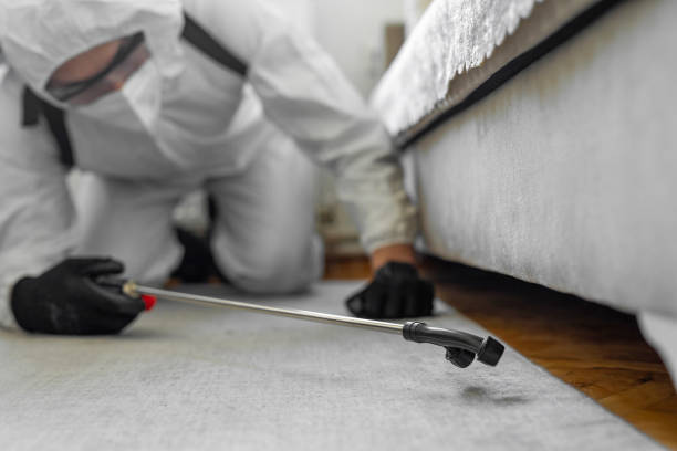 Professional Cockroach Control technician working in Poplar Plains, CT